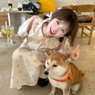 辛德瑞拉先生